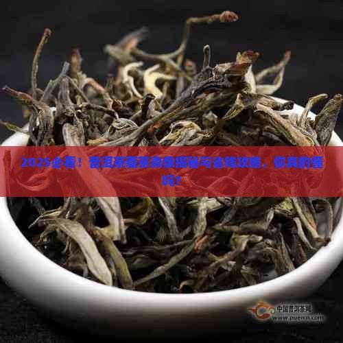 普洱茶的藏茶之惑