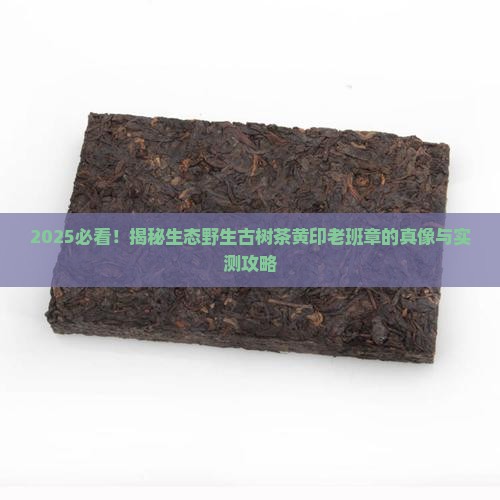 生态野生古树茶黄印老班章
