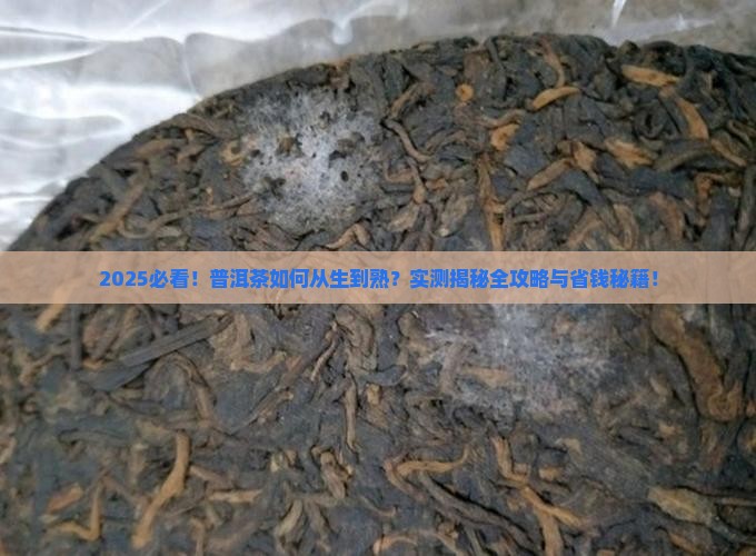 普洱茶怎样变别生和熟