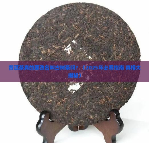 普洱茶应该改名古树茶