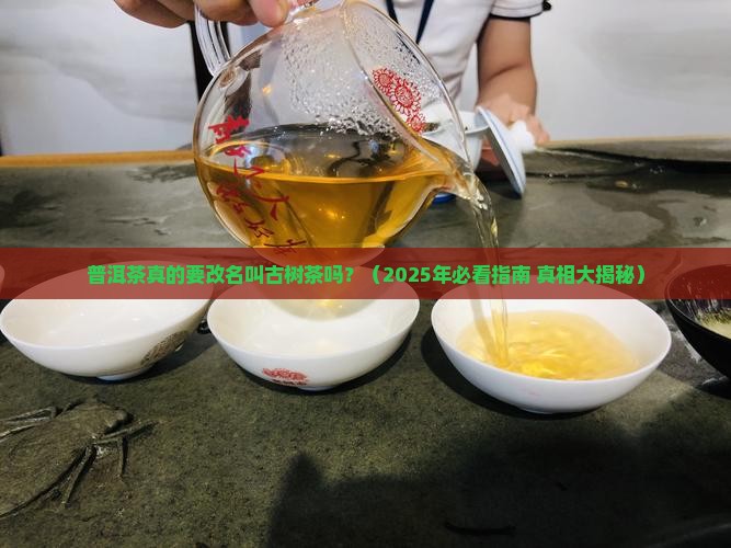 普洱茶应该改名古树茶
