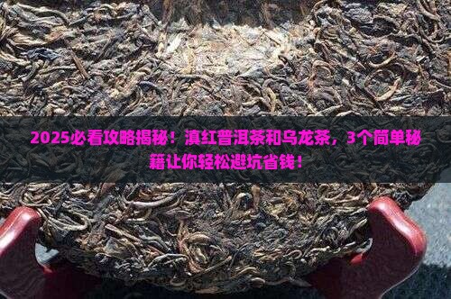 滇红普洱茶和乌龙茶