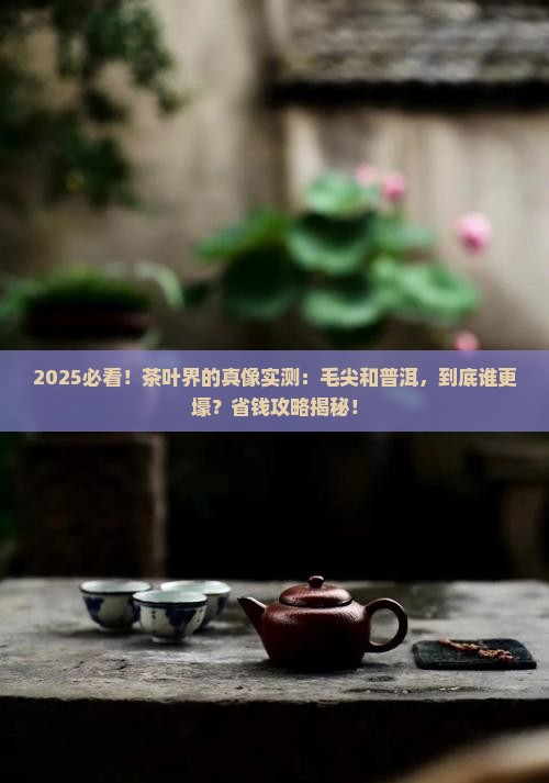 茶叶是毛尖贵还是普洱茶贵