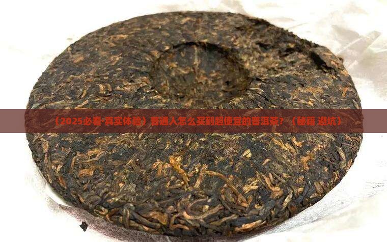 普洱茶哪里进货好便宜