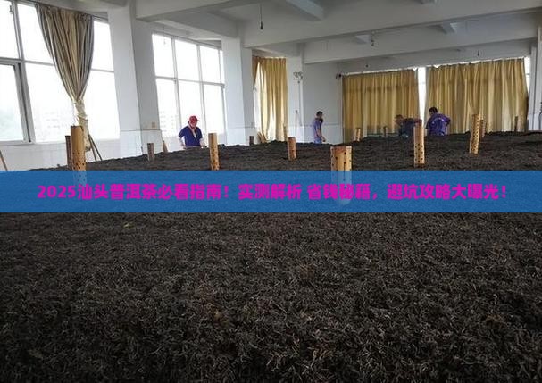 汕头普洱茶哪个好