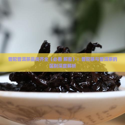 普陀普洱茶品类齐全