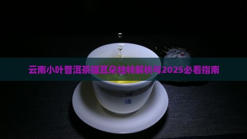 云南小叶种普洱茶猫耳朵