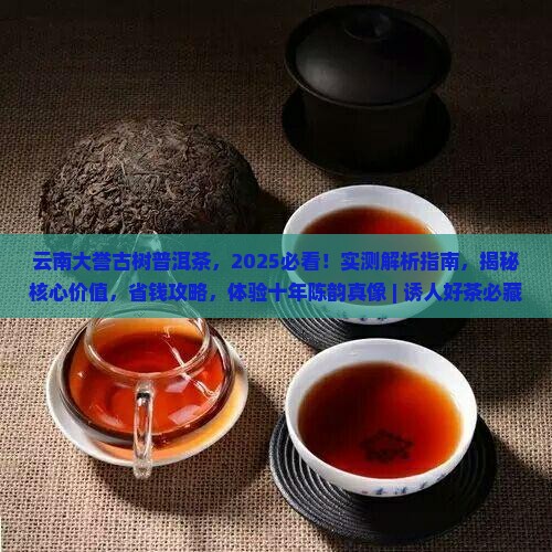 云南大誉古树普洱茶
