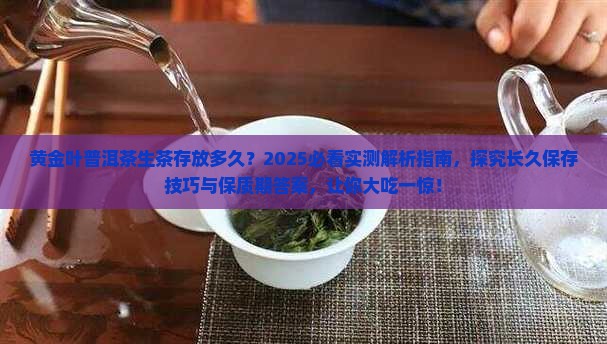 黄金叶普洱茶生茶可以放多久