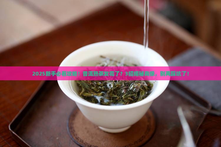 普洱熟茶有点发霉什么普洱