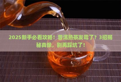普洱熟茶有点发霉什么普洱
