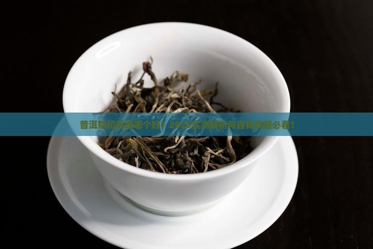 毛峰和普洱茶哪个好