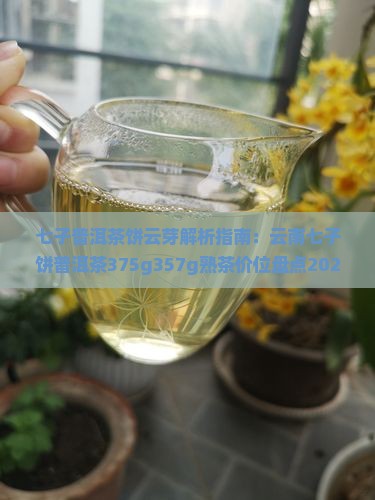七子普洱茶饼云芽