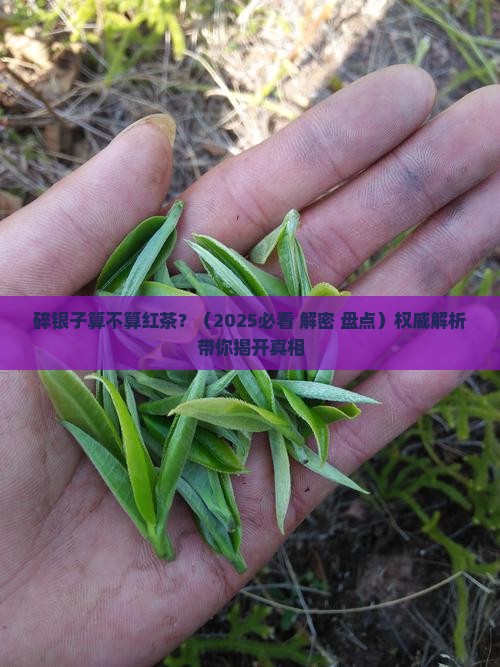 碎银子算不算红茶 碎银子算不算红茶