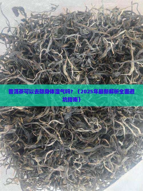 普洱茶可以去除身体湿气吗