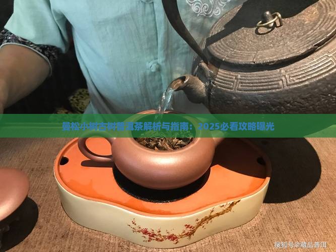曼松普洱小树茶