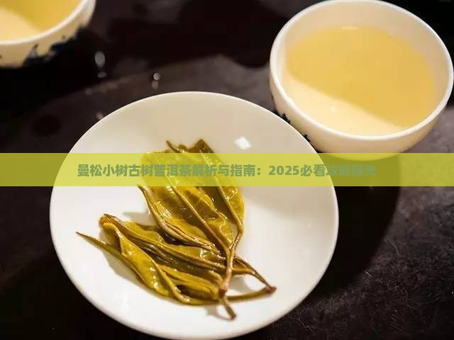 曼松普洱小树茶