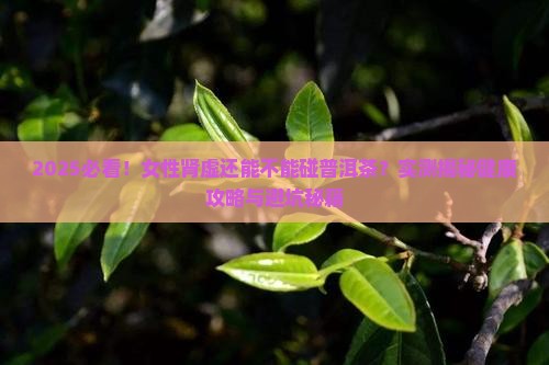 女性肾虚能不能喝普洱茶