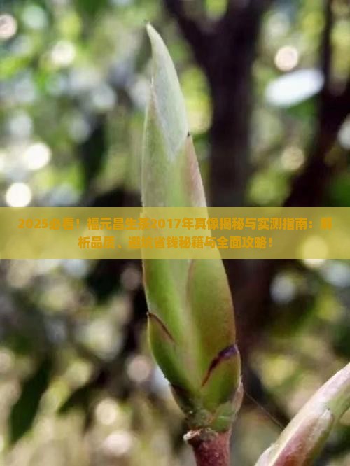 2017年福元昌生茶