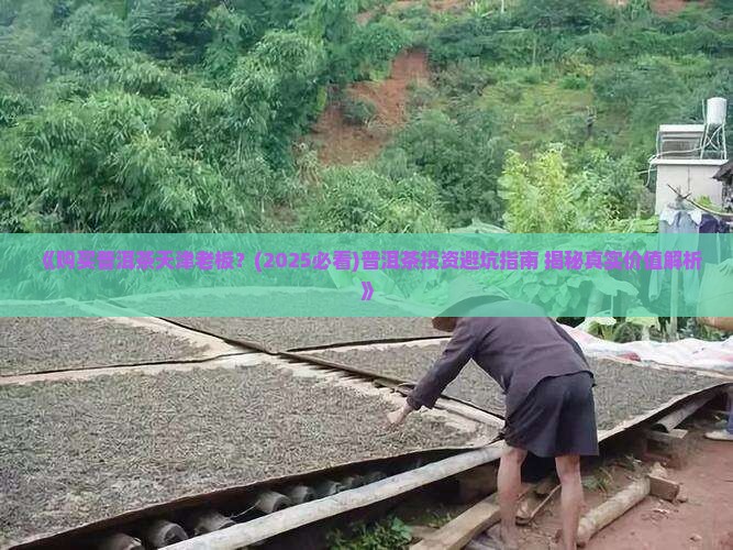 购买购普洱茶天津老板