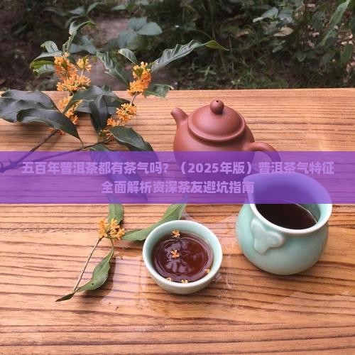 五百年普洱茶都有茶气吗