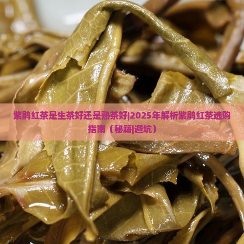 紫鹃红茶是生茶好还是熟茶好 紫鹃红茶是生茶好还是熟茶好