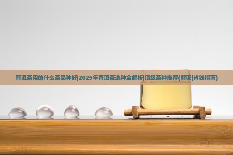 普洱茶用的什么茶品种好