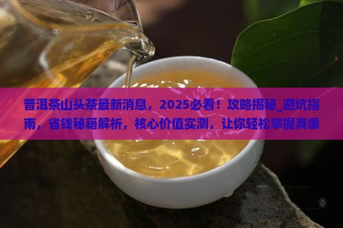 普洱茶山头茶最新消息