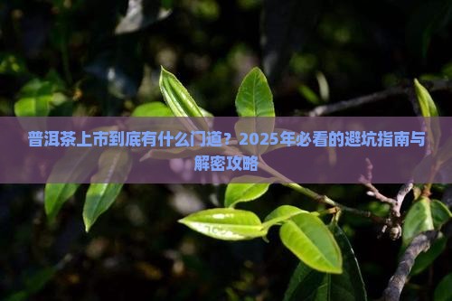 普洱茶上市特点