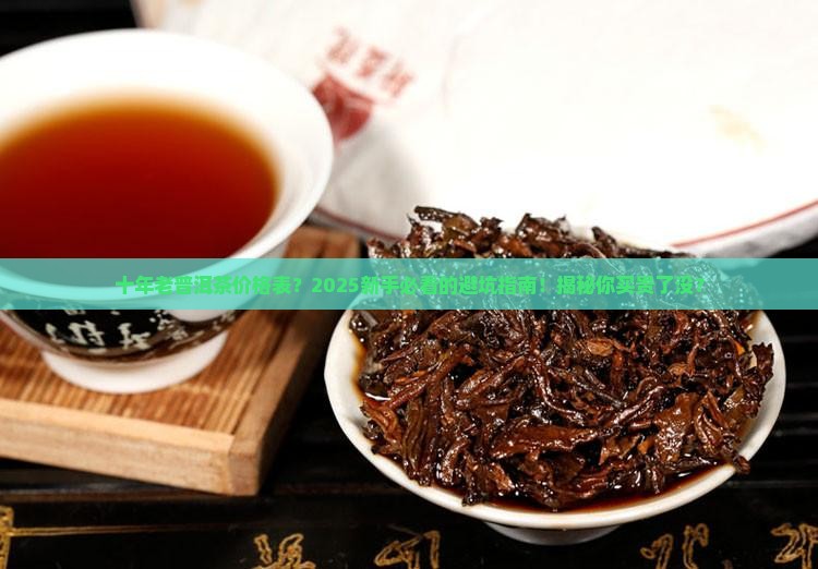 十年老普洱茶价格表