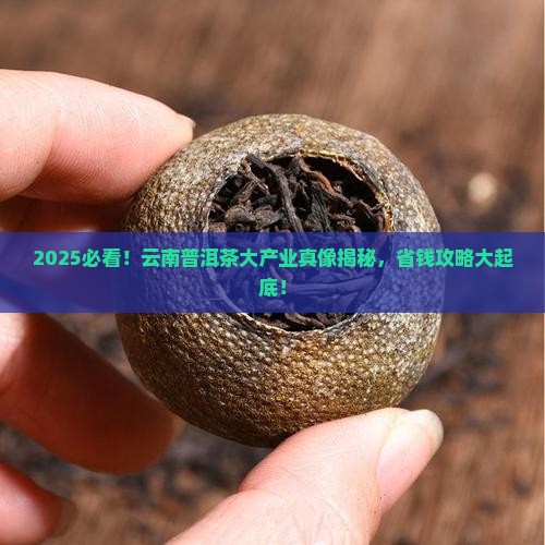 云南普洱茶大产业
