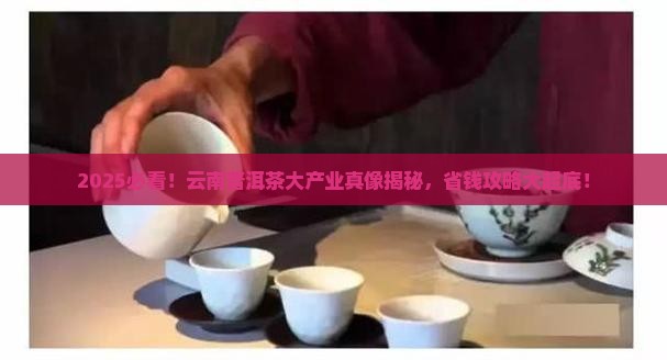 云南普洱茶大产业