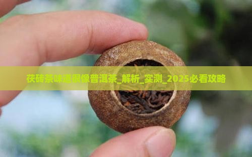 茯砖茶味道很像普洱茶