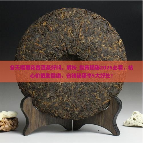冬天喝菊花普洱茶好吗