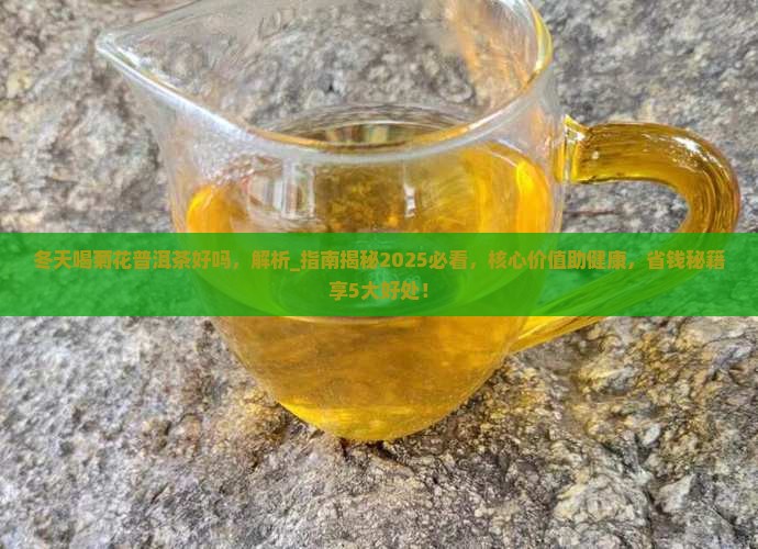 冬天喝菊花普洱茶好吗