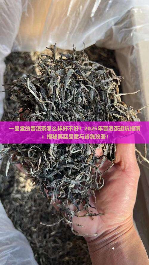 一品堂的普洱茶怎么样好不好