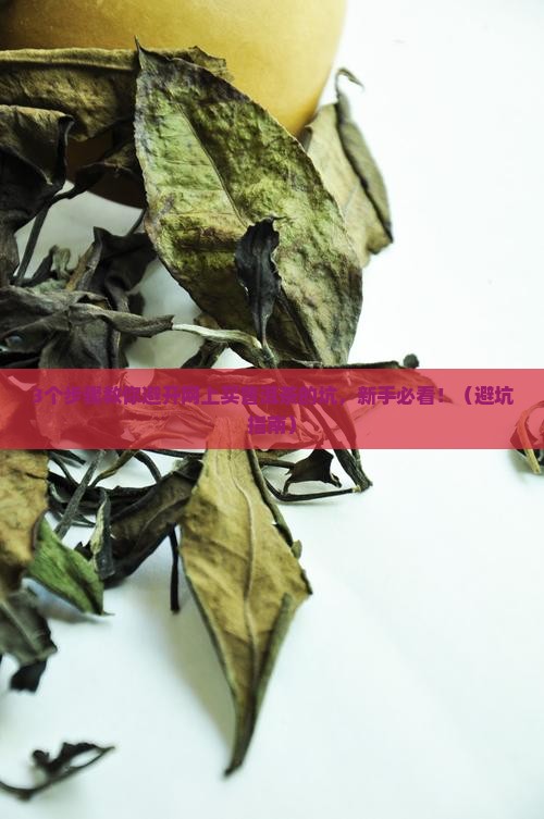 怎样在网上挑普洱茶
