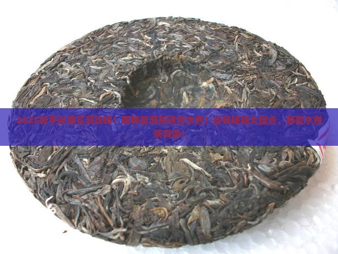 哪种普洱茶适合水煮