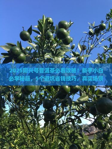 同兴号普洱茶公司