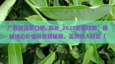 广西普洱茶口感