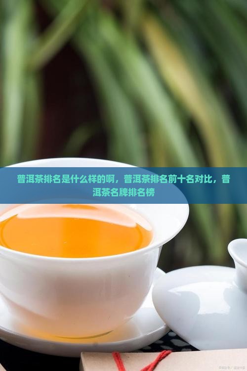 普洱茶排名是什么样的啊