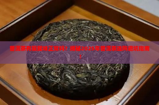 普洱茶有股腥味正常吗