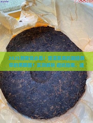 晚上熬夜适合喝普洱茶吗