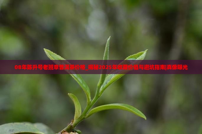 08年陈升号老班章普洱茶价格