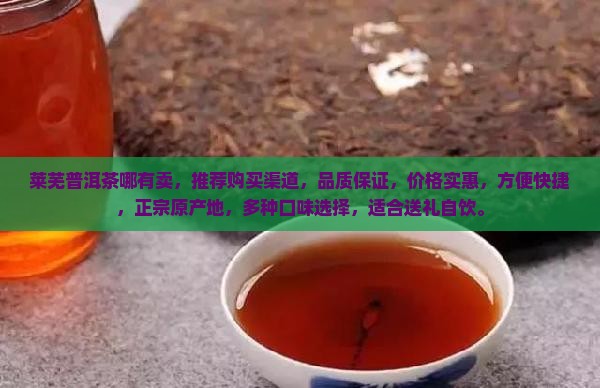 莱芜普洱茶哪有卖