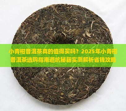 小青柑普洱茶的好评