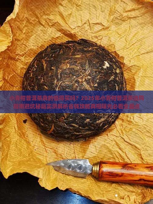 小青柑普洱茶的好评