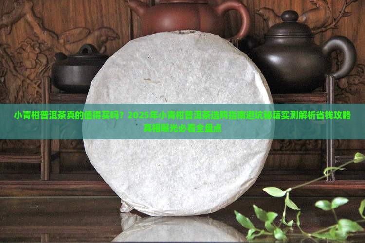 小青柑普洱茶的好评