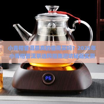 小青柑普洱茶的好评