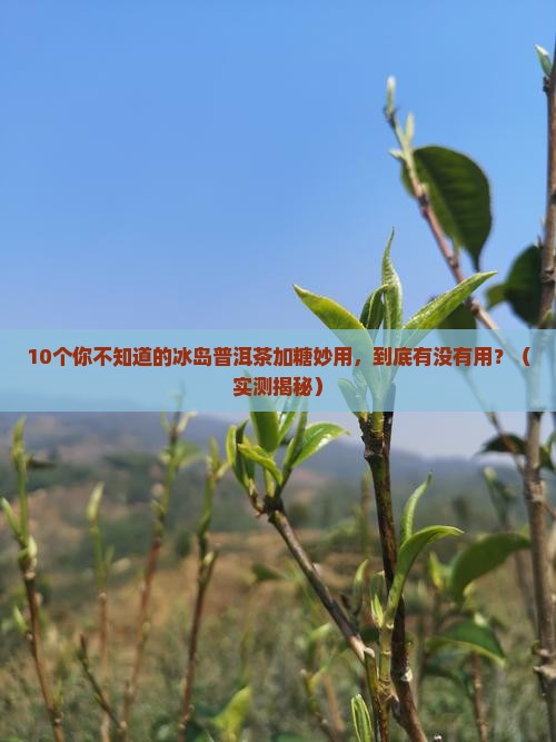 冰岛普洱茶加糖的功效